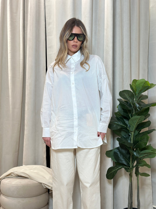 Shirt Basic 100% cotone